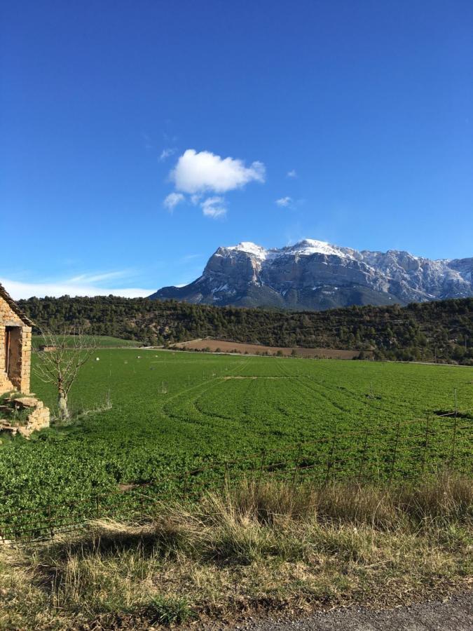 Apartamentos Bajo Pena Apartamentos Sanlorien El Pueyo de Araguás Esterno foto