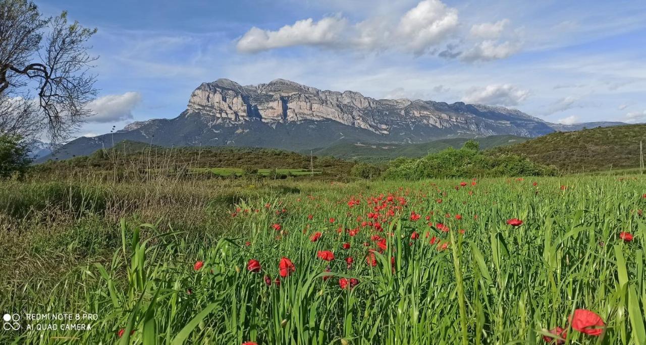 Apartamentos Bajo Pena Apartamentos Sanlorien El Pueyo de Araguás Esterno foto